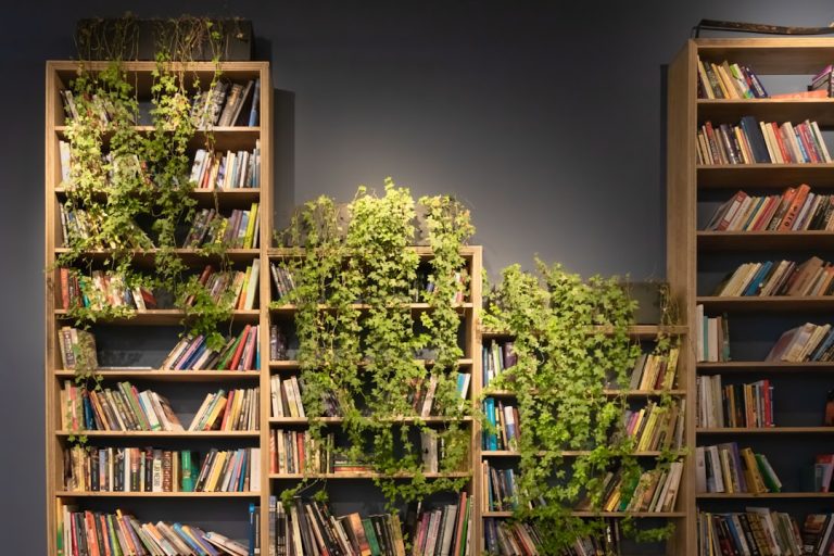 Photo Bookshelf